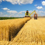 فروش شرکت کشاورزی و فضای سبز رتبه 5 ثبت ساجات و ساجار 