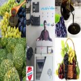 آب گوجه گیری
