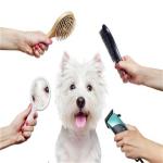 آرایش و شستشوی حیوانات