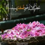 پخش گلاب سوپر کیفیت محصول قمصر کاشان