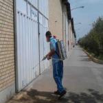 سمپاشی حشرات - سمپاشی ساس