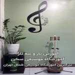 تدریس خصوصی تار و سه تار (قیطریه)