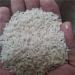 برنج اصیل گیلان