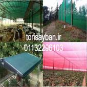 تولید توری سایبان شید گلخانه