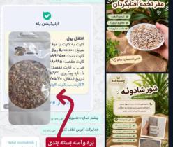 آجیل وخشکبارتنقلات سالم