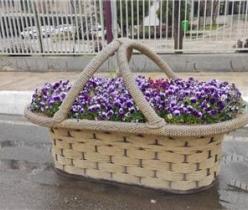 گلدان فایبرگلاس طرح سبد
